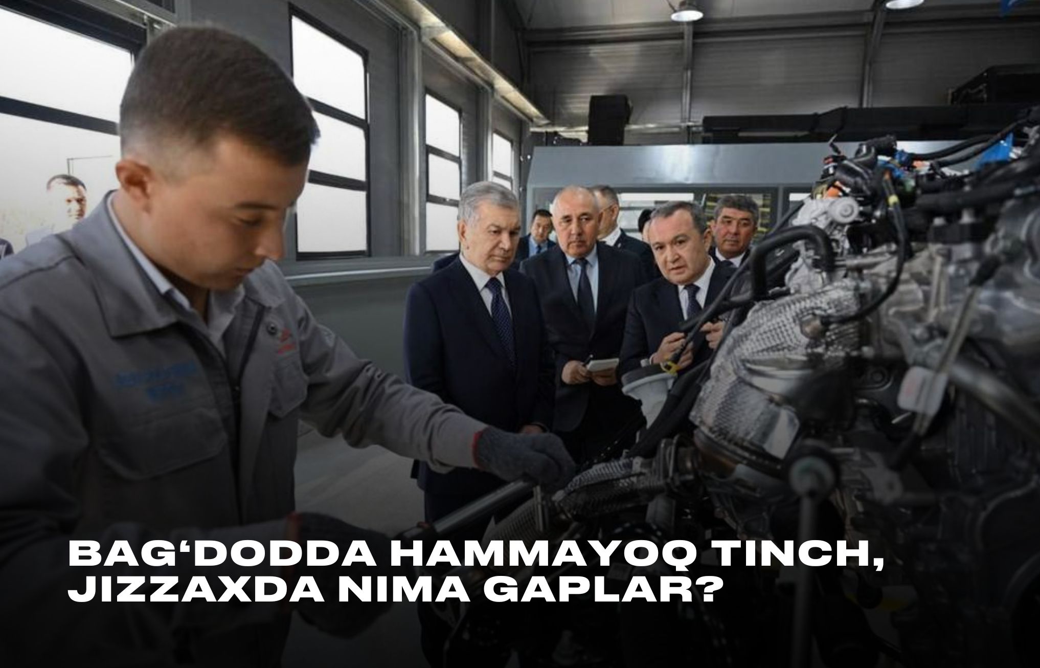 search_tiger